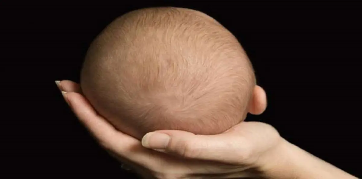 الشرطة اللبنانية تعتقل شبكة لبيع الأطفال حديثي الولادة