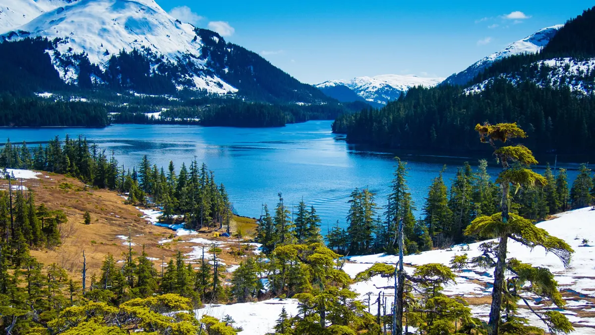 إدارة ترامب تقترح تسهيل السماح بالتنقيب عن النفط والغاز في الغابات