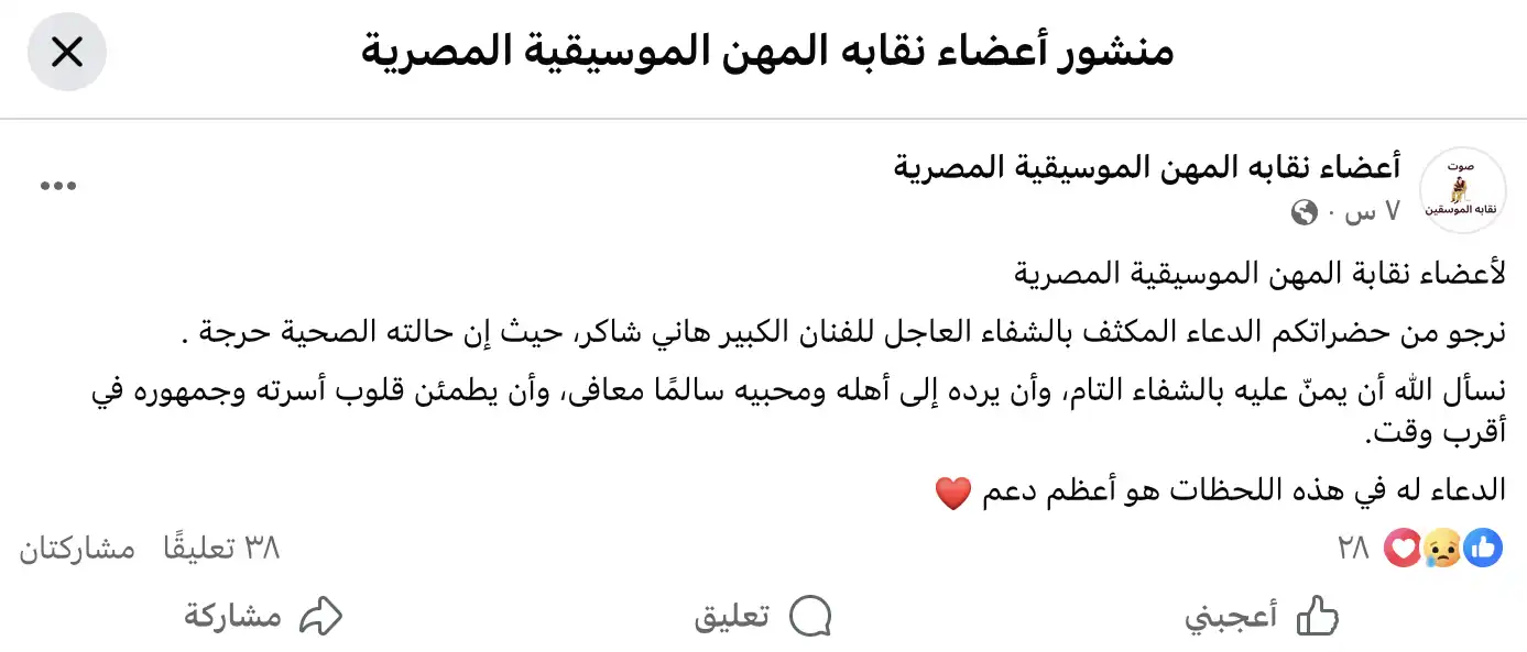 منشور نقابة المهن الموسيقية المصرية