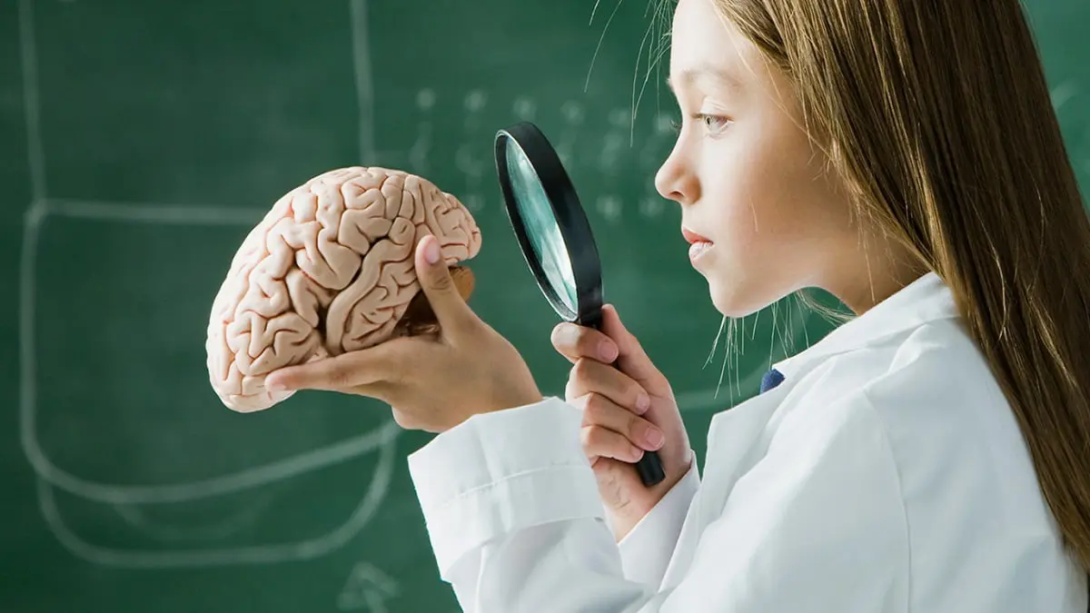 ابتكار تقنية لتنشيط الخلايا العصبية العميقة في المخ دون عمل جراحي