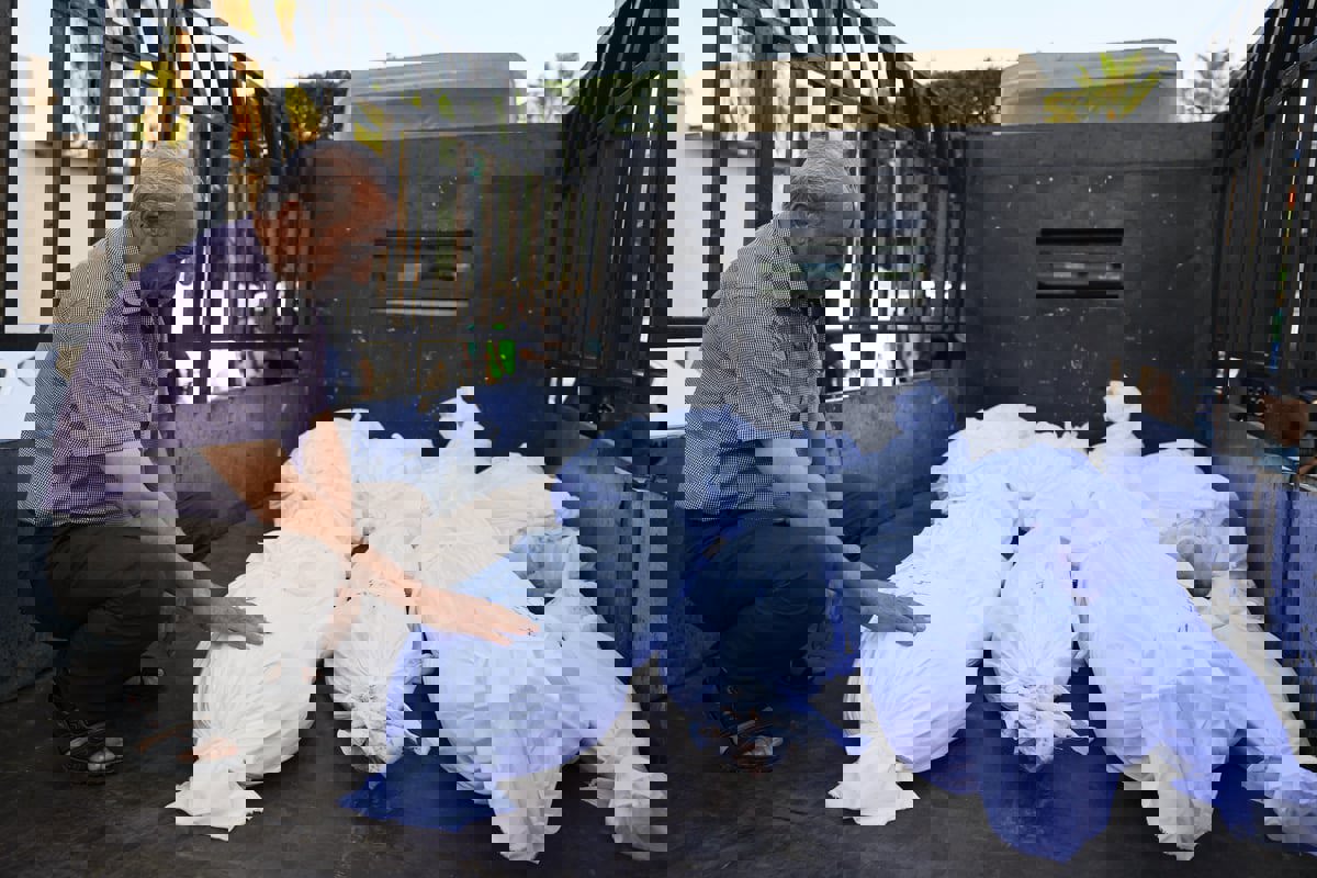 "صحة غزة": ارتفاع عدد القتلى إلى 2670 شخصًا