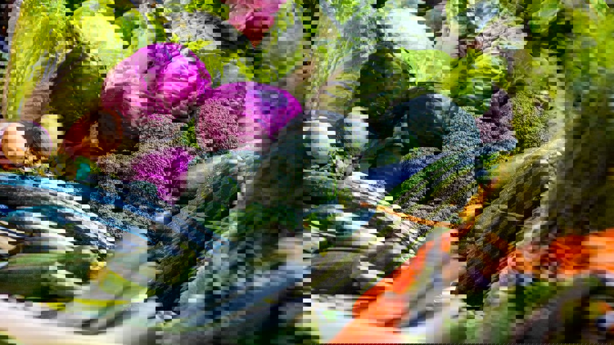 دراسة: هذه الخضروات والفواكه تمنع ارتفاع ضغط الدم