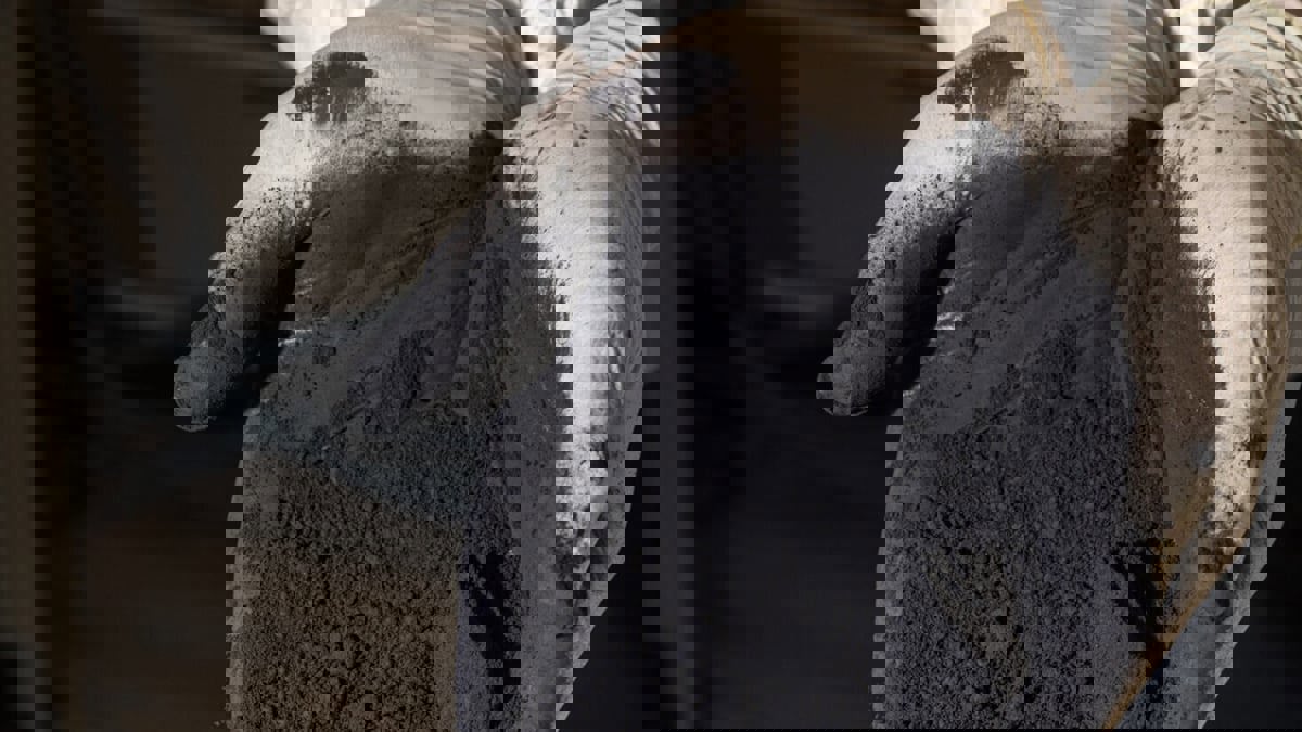 تقنية تحول نفايات صناعة الألواح الشمسية إلى أخرى جديدة