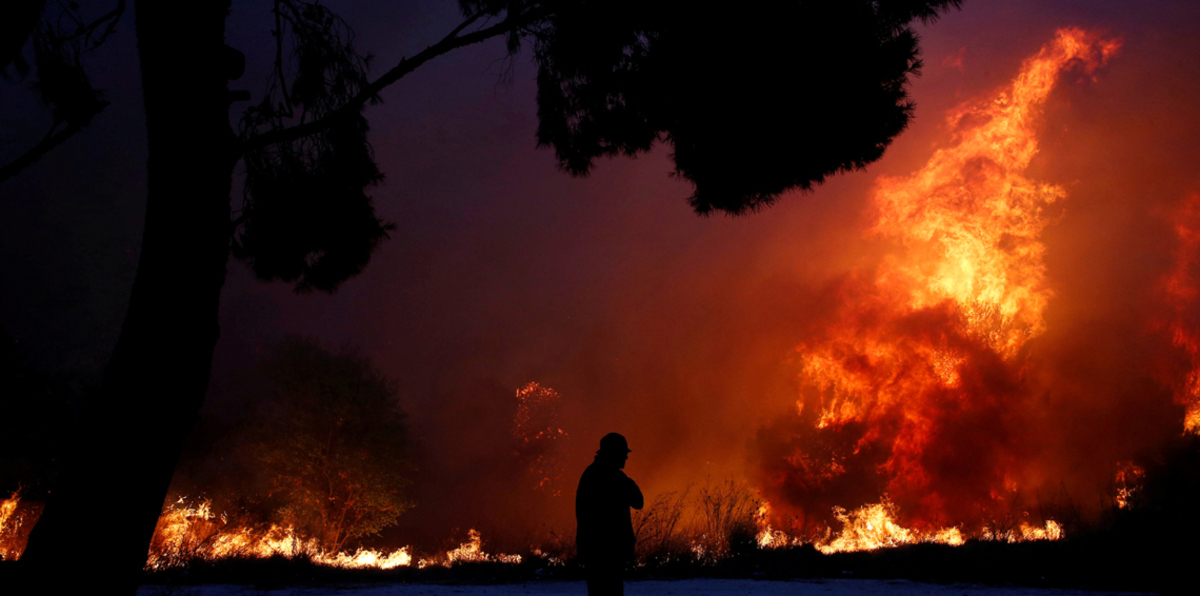 حرائق الغابات تقتل أكثر من 20 شخصًا في اليونان