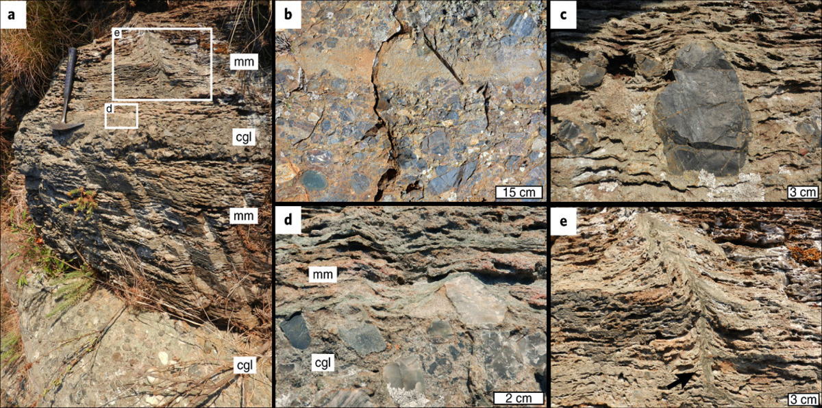 اكتشاف أولى علامات الحياة على الأرض