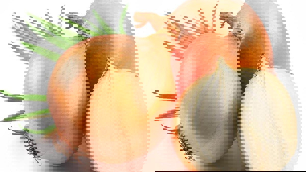 غني بالفيتامينات والألياف ومضادات الأكسدة.. فوائد صحية مذهلة للبصل