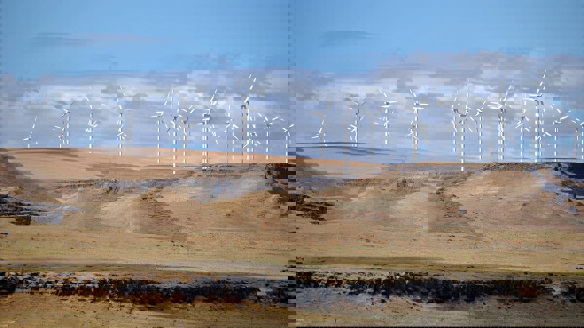 تكنولوجيا جديدة لتشغيل مستدام لـ"توربينات" الرياح