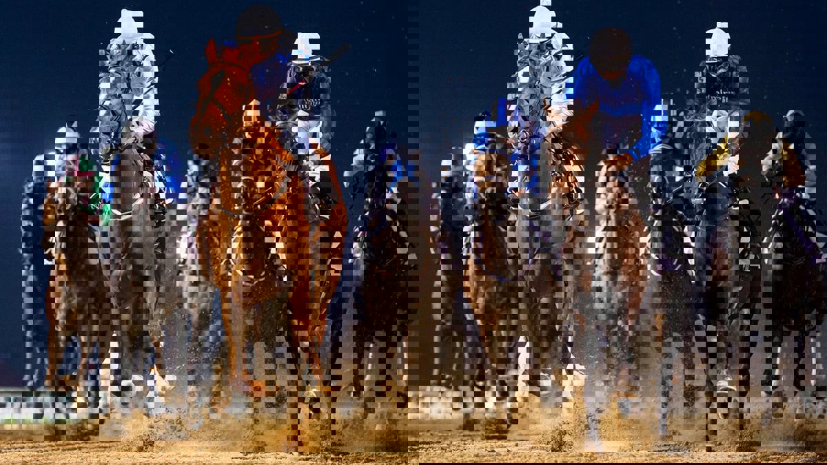 تشهدها النسخة الـ26.. 5 أشياء تحدث للمرة الأولى من "كأس دبي العالمي"