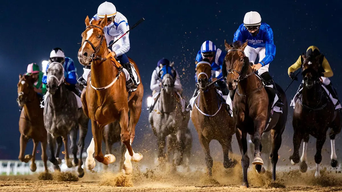 تشهدها النسخة الـ26.. 5 أشياء تحدث للمرة الأولى من "كأس دبي العالمي"