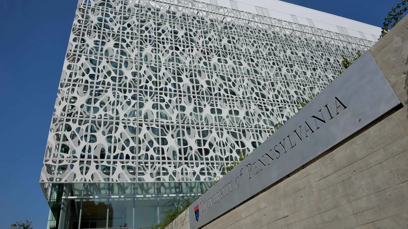 في جامعة بنسلفانيا.. طلبة وأساتذة يهود يسعون لتقويض تحقيق بشأن معاداة السامية