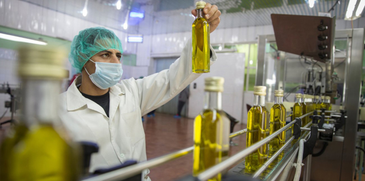 زيت الزيتون التونسي في مرمى الاتهامات الإيطالية