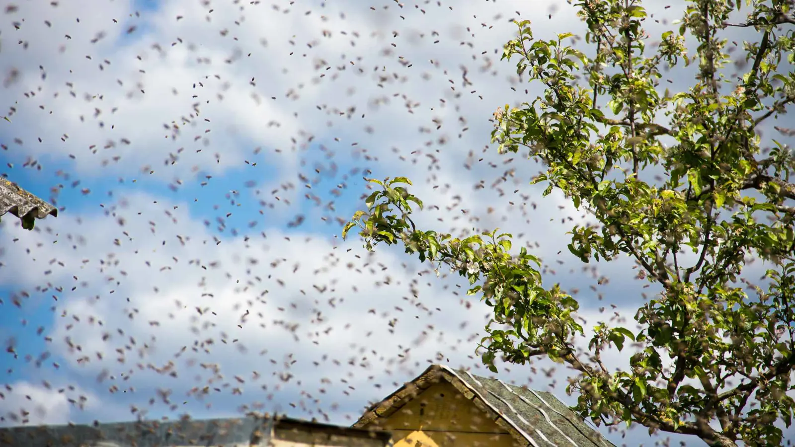"سأقتلكم الآن".. إسباني يردّ على رجال الشرطة بسلاح غير متوقع
