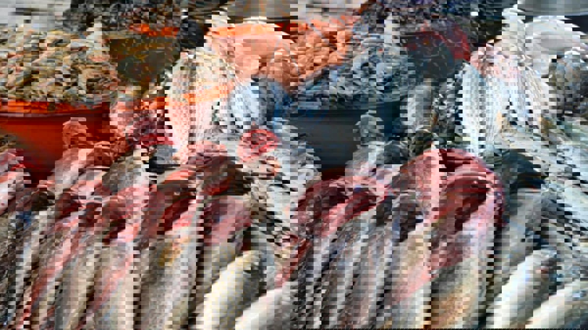 اليمن يقرر إيقاف تصدير الأسماك والأحياء البحرية الطازجة إلى الخارج