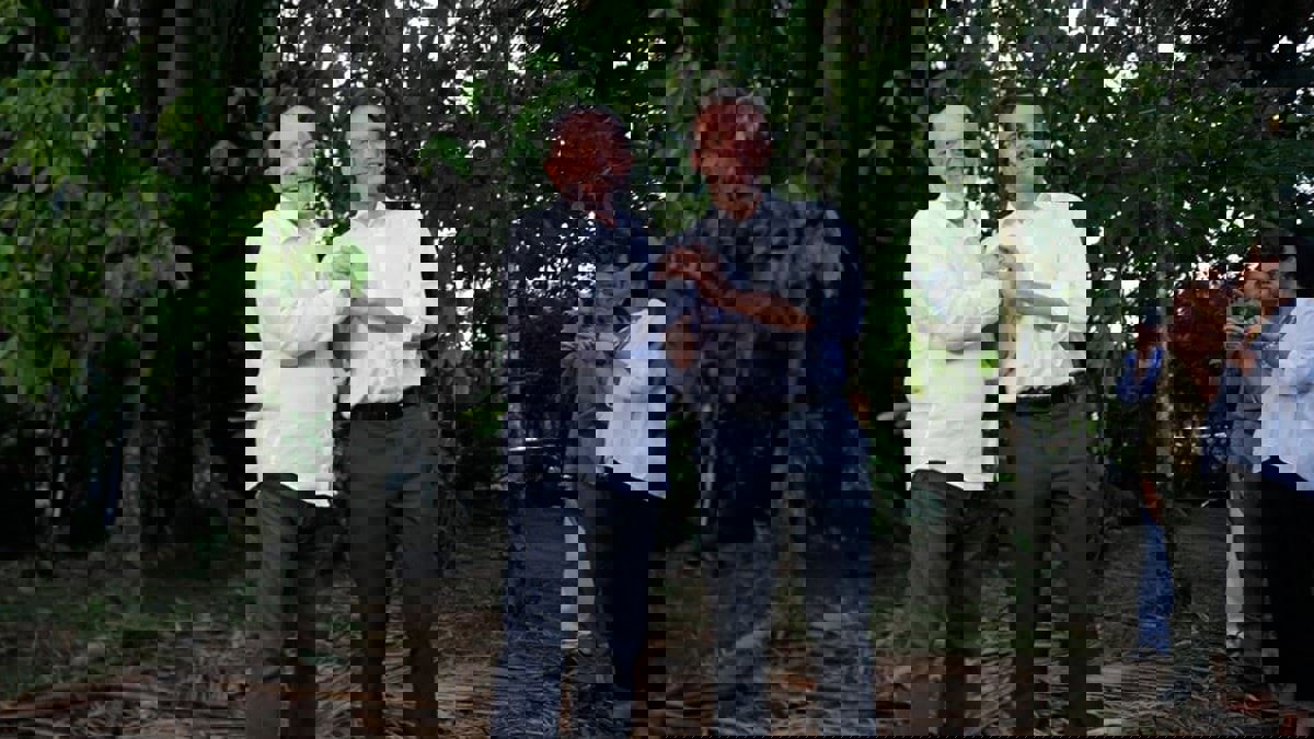 تحت شعار الدفاع عن الأمازون.. ماكرون يبحث مع لولا أبرز التحديات الدولية