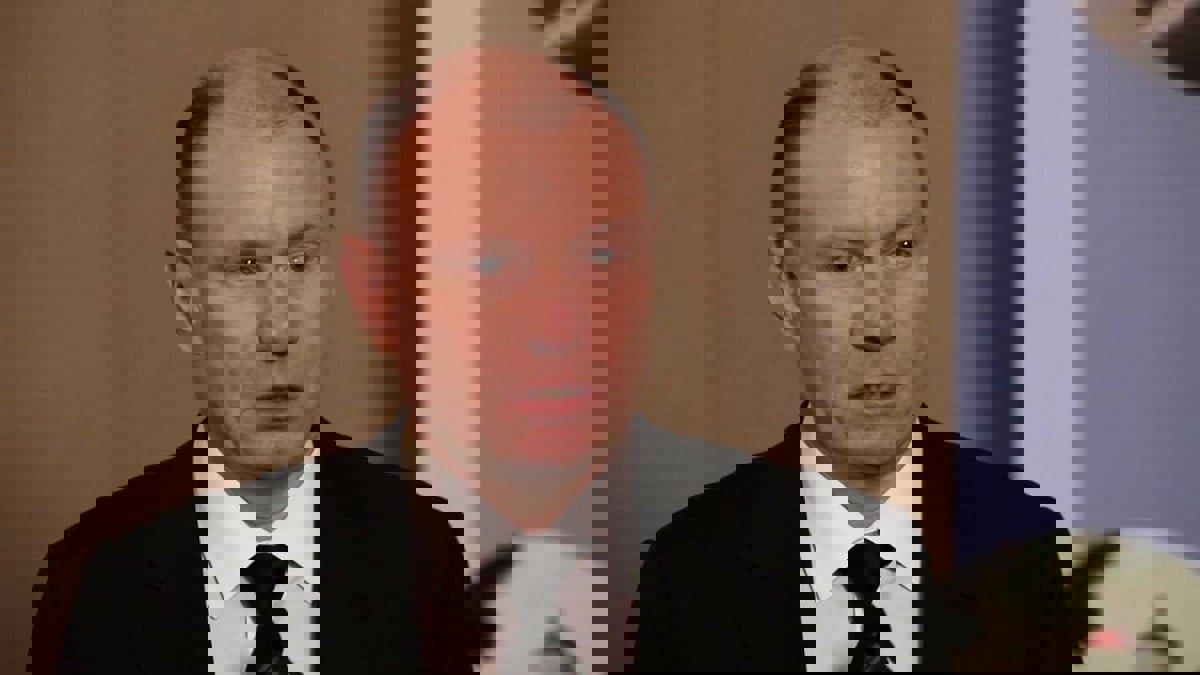 30 مليار دولار.. فلاديمير بوتانين يحقق ثراء غير مسبوق في روسيا