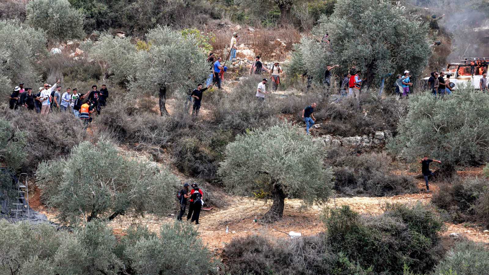 بحماية الجيش الإسرائيلي.. مستوطن يعتدي بالضرب على مزارع فلسطيني (فيديو)