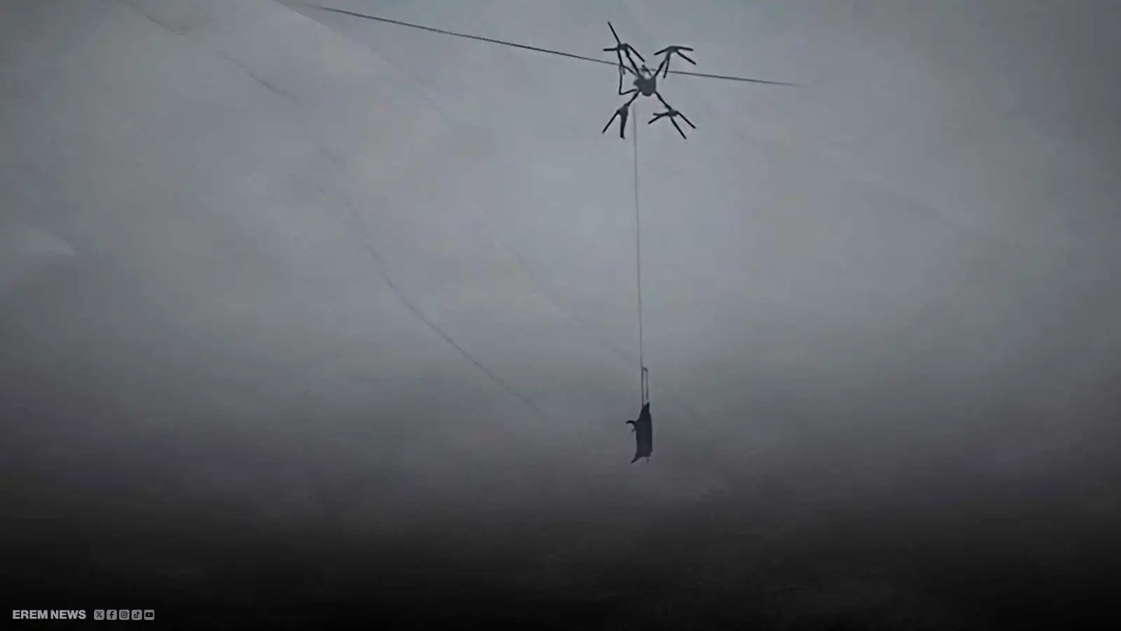 درون تحمل خنزيراً تقطع الكهرباء عن قرية كاملة لساعات