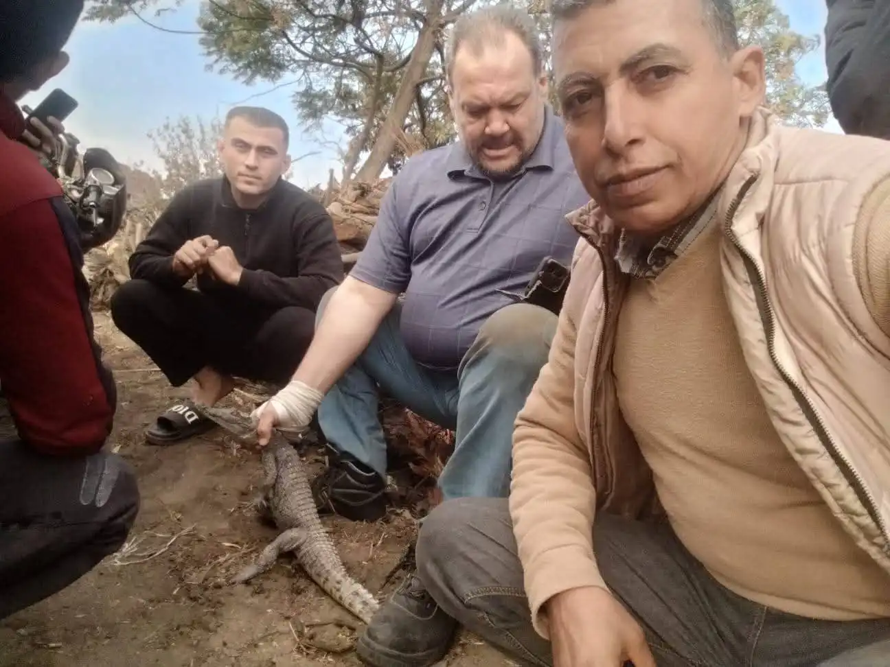 من عملية تطويق التمساح