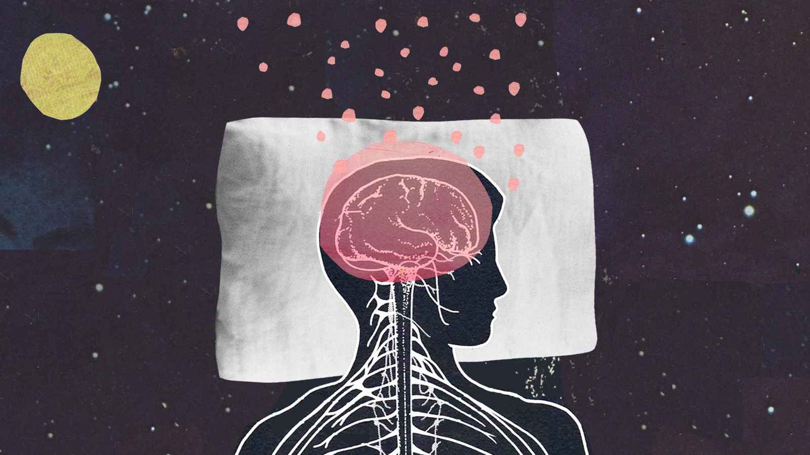 "غسّالة دماغ ليلية".. كيف ينظف النوم عقولنا؟