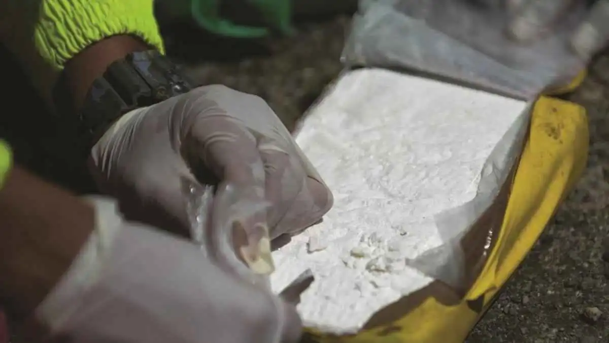 تقدر بـ 107 ملايين دولار .. أستراليا تحبط تهريب نصف طن من الكوكايين