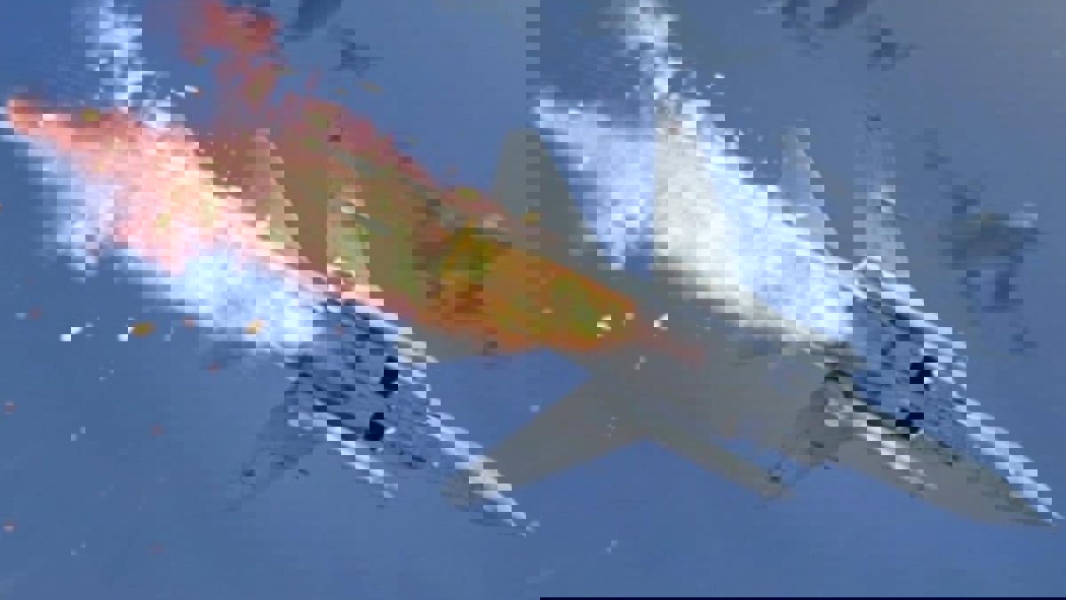 روسيا تعلن إسقاط 3 مقاتلات أوكرانية