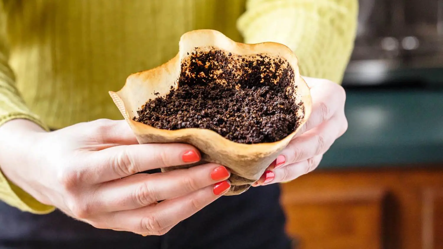 البُن "المستعمل" قد يكون حلاً "جيداً" للزهايمر