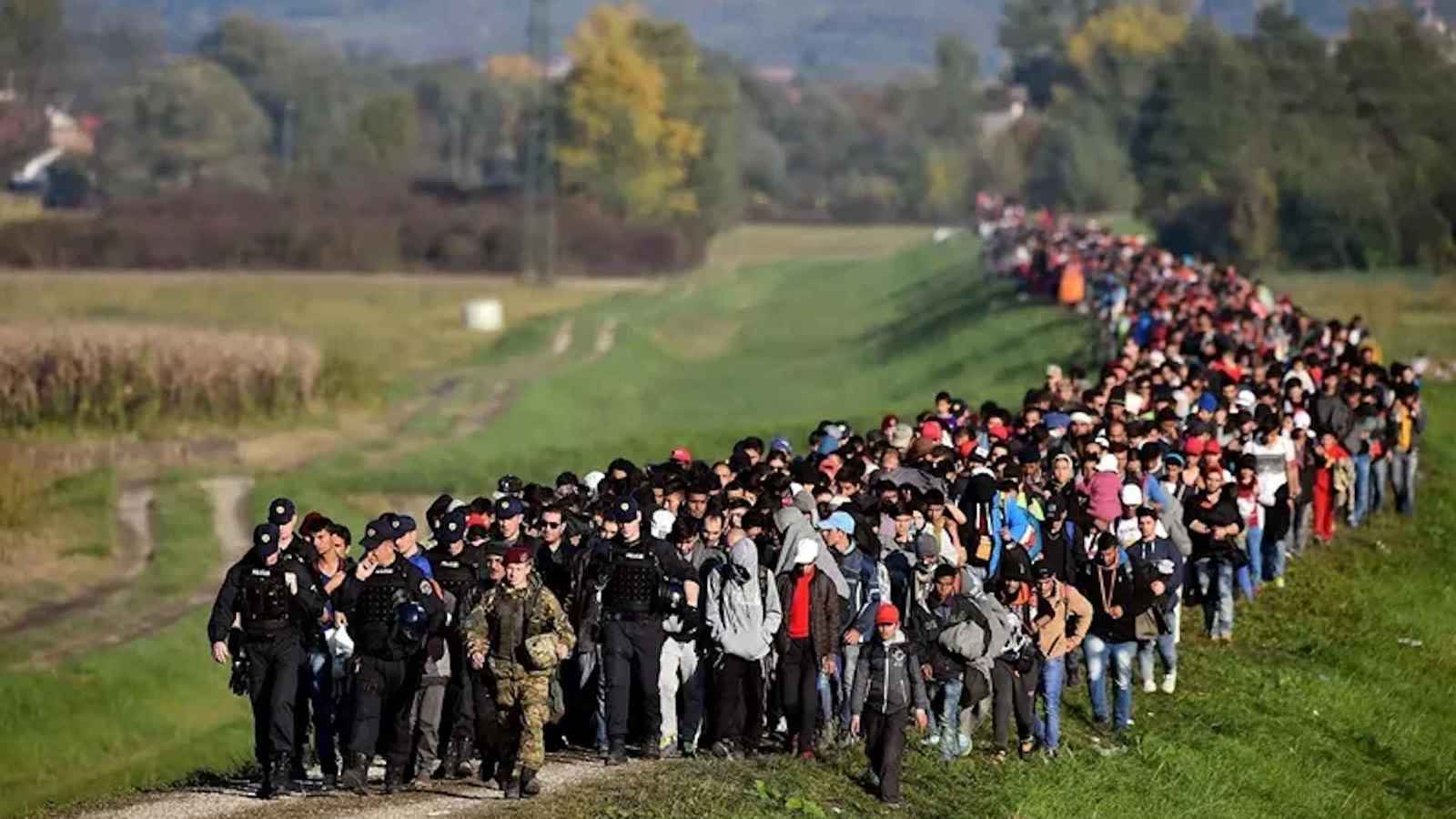 المهاجرون العرب.. "يتامى" يبحثون عن وليّ أمر!