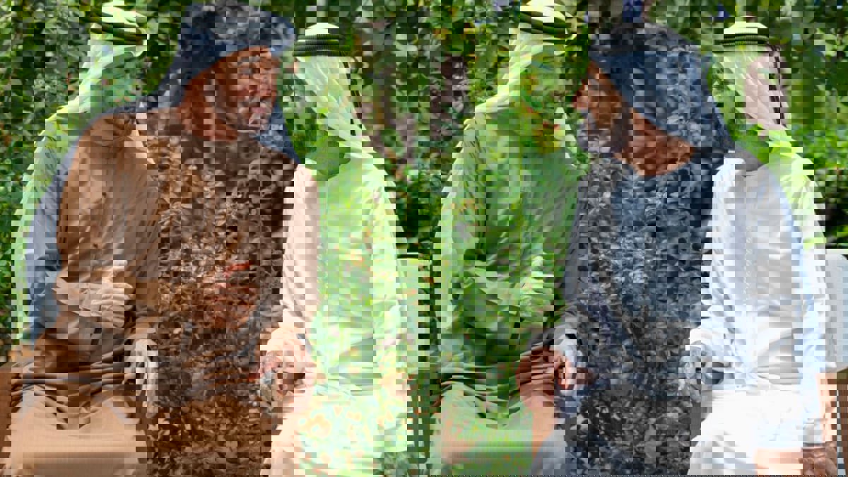 محمد بن راشد ومحمد بن زايد يعتمدان دورة جديدة من المشاريع الإستراتيجية للإمارات