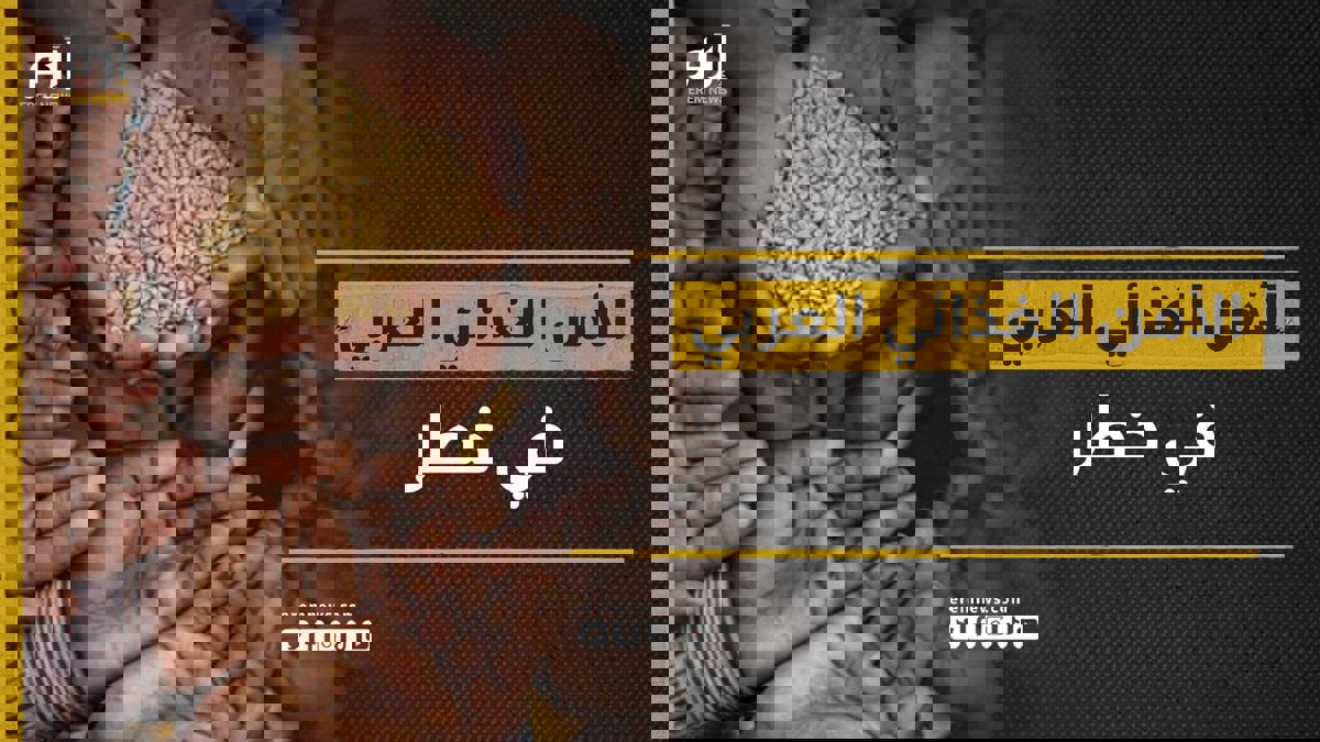 الأمن الغذائي العربي مهدد.. تقرير أممي يحذر