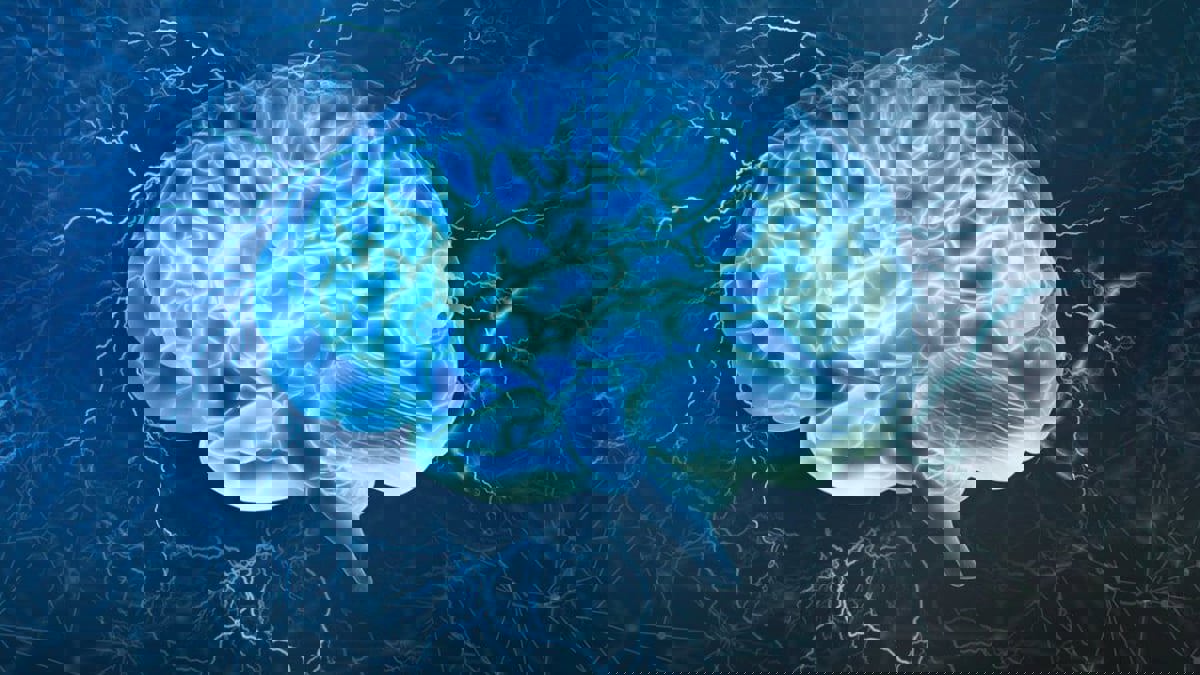 باحثون يضعون خريطة لشبكة دماغية متصلة بالإدمان