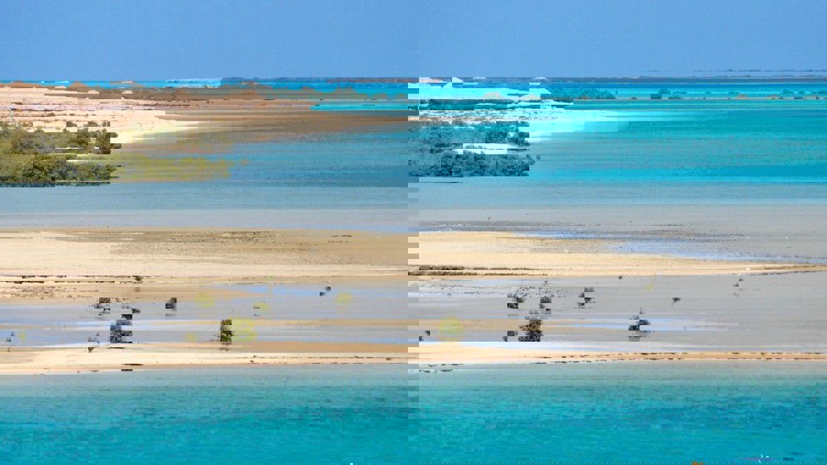 ما حقيقة منح السعودية جزيرة فرسان لمصر؟