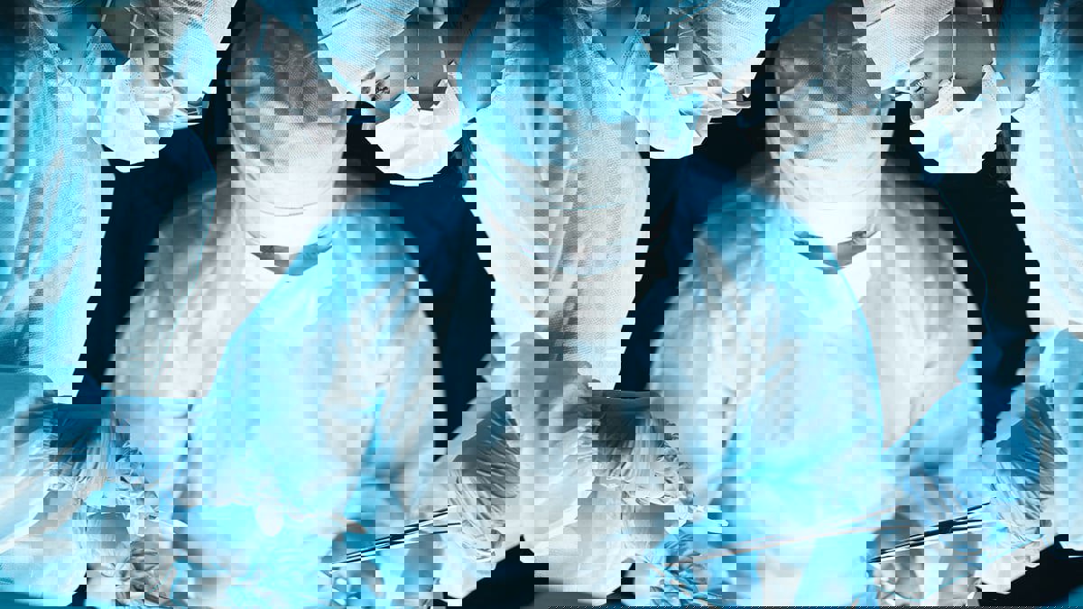 عجينة طبية مستوحاة من محار بحري توقف النزيف الحاد في ثوان