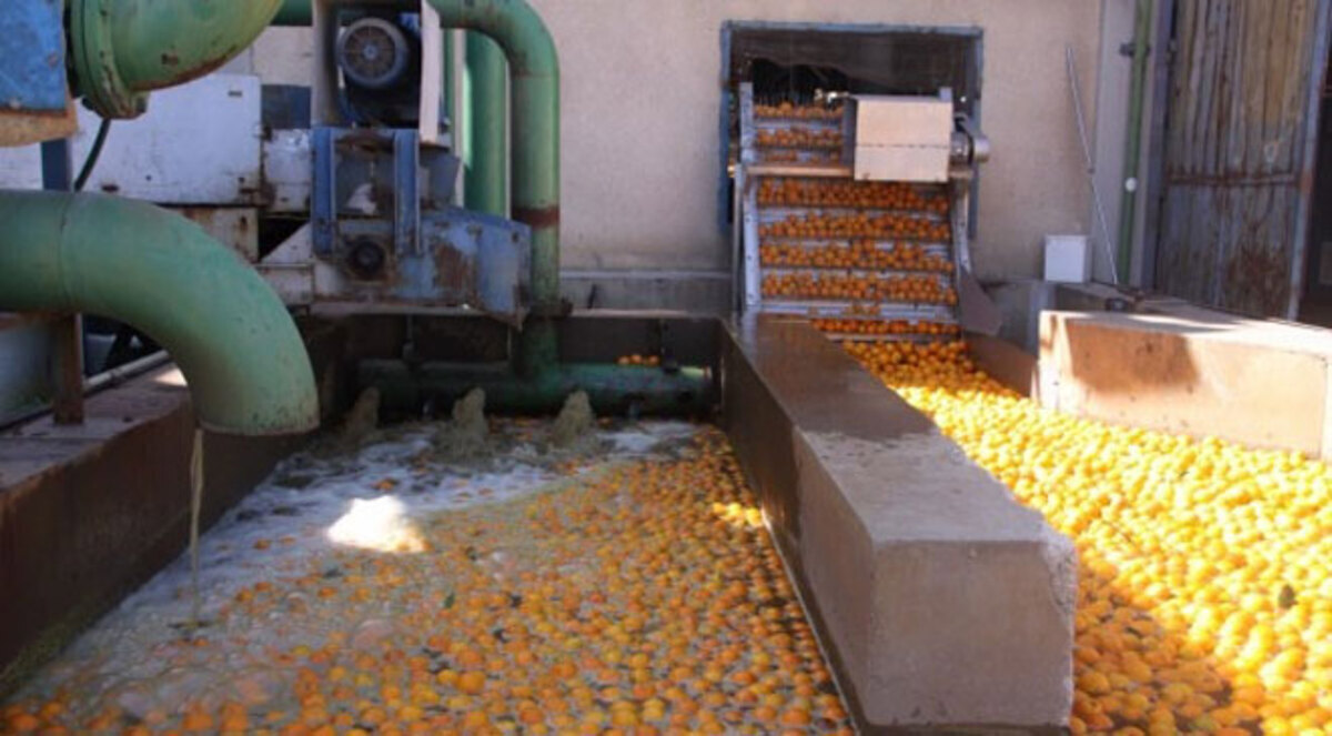 150 مليون دولار خسائر مصانع غزة الغذائية