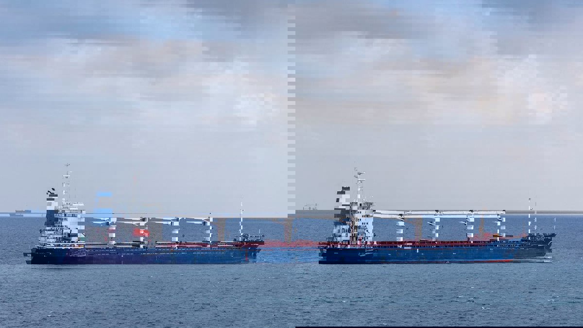 تحمل أول شحنة حبوب أوكرانية.. سفينة "رازوني" ترسو في ميناء طرطوس السوري