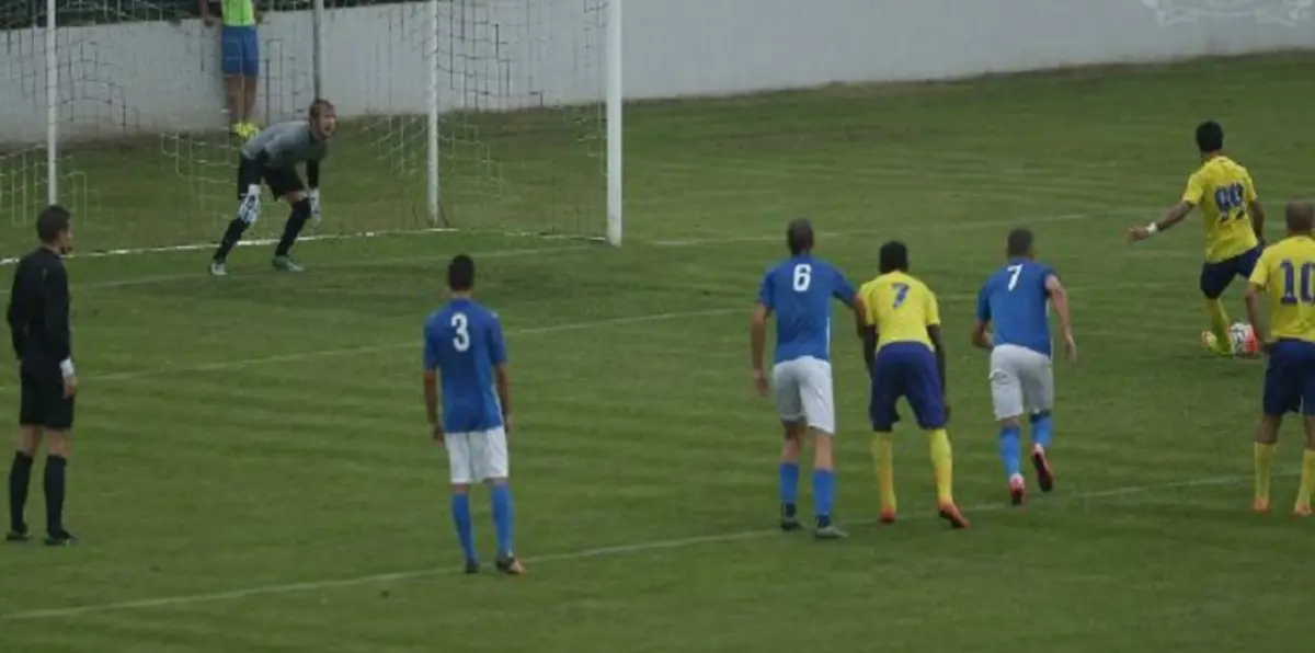 النصر السعودي يهزم فرازدين الكرواتي بثنائية وديا