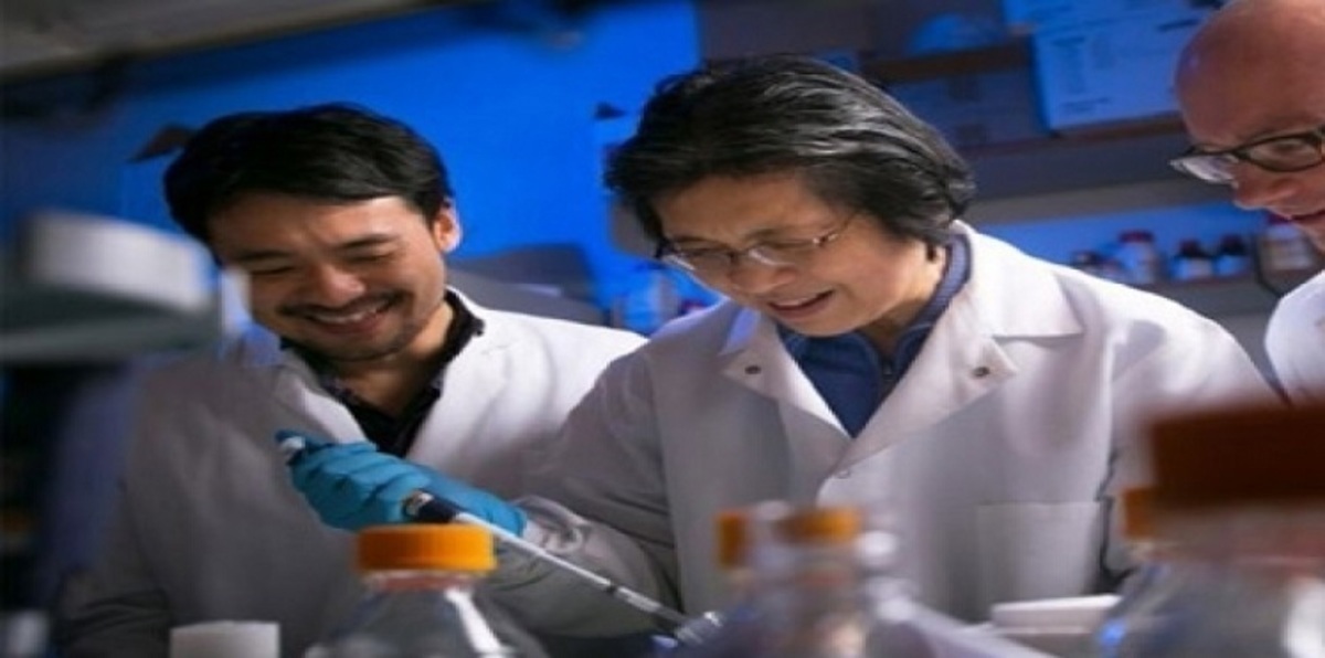 دراسة: بكتيريا الأمعاء النافعة تكافح السرطان