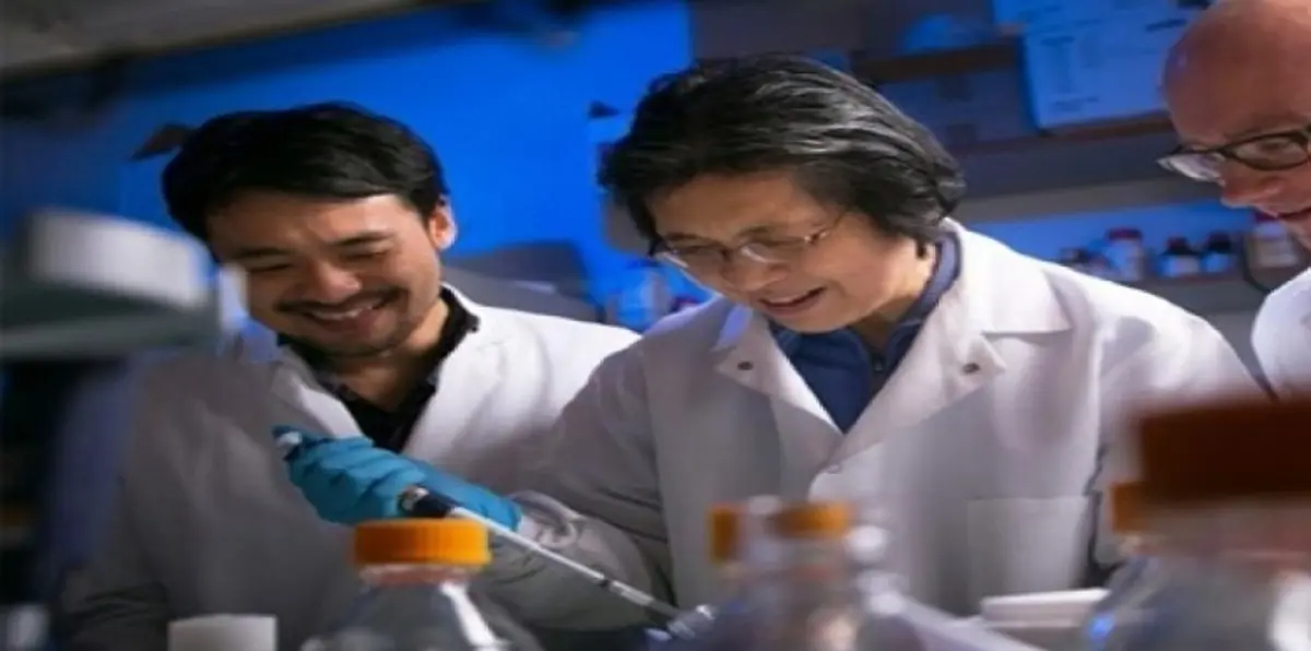 دراسة: بكتيريا الأمعاء النافعة تكافح السرطان