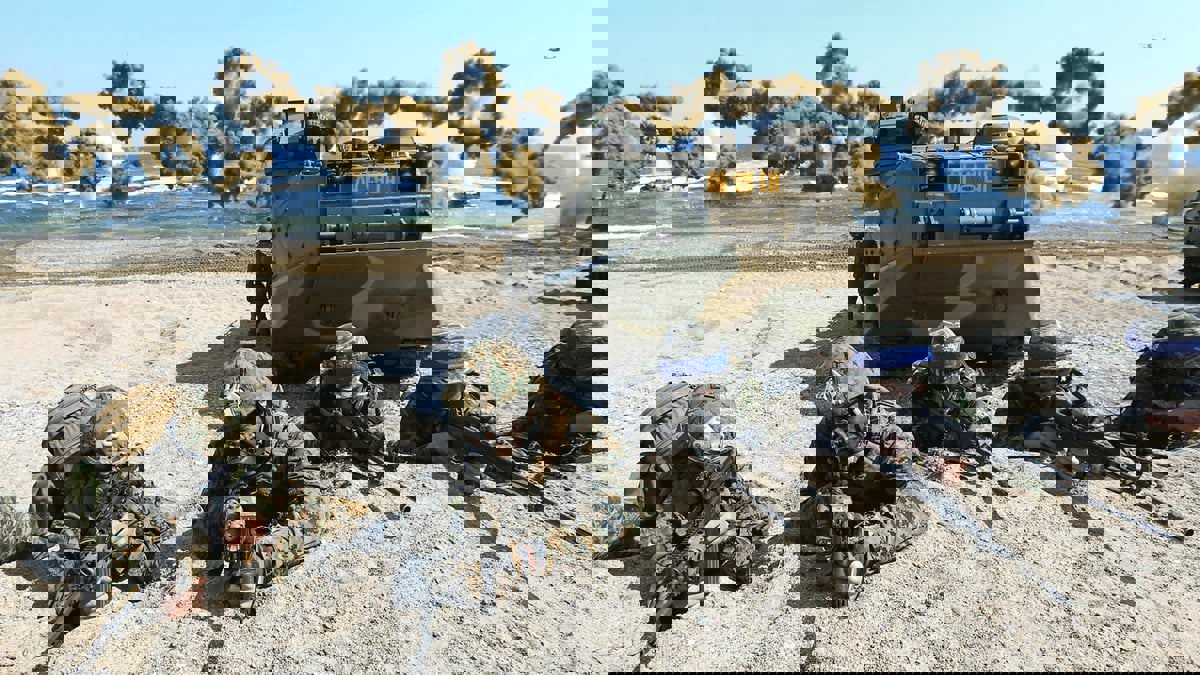 كوريا الجنوبية: لا قرار بخصوص التدريبات العسكرية مع واشنطن