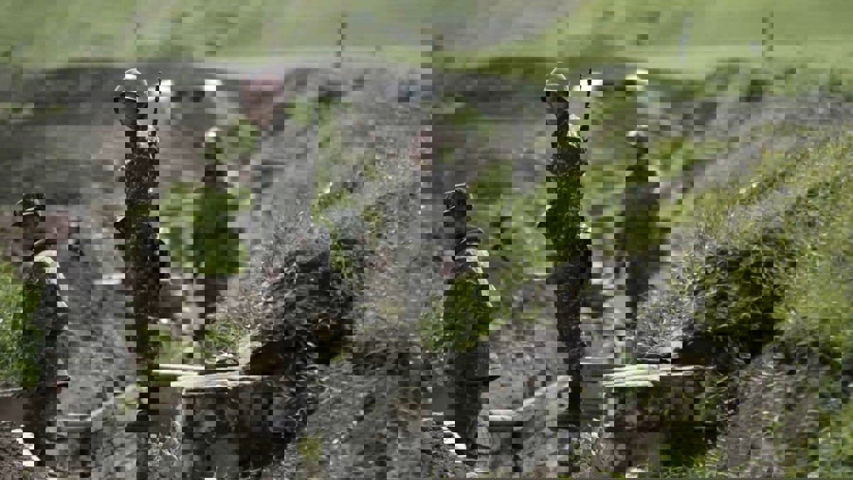 فورين بوليسي: مرتزقة تركيا في أذربيجان يشعرون بالندم