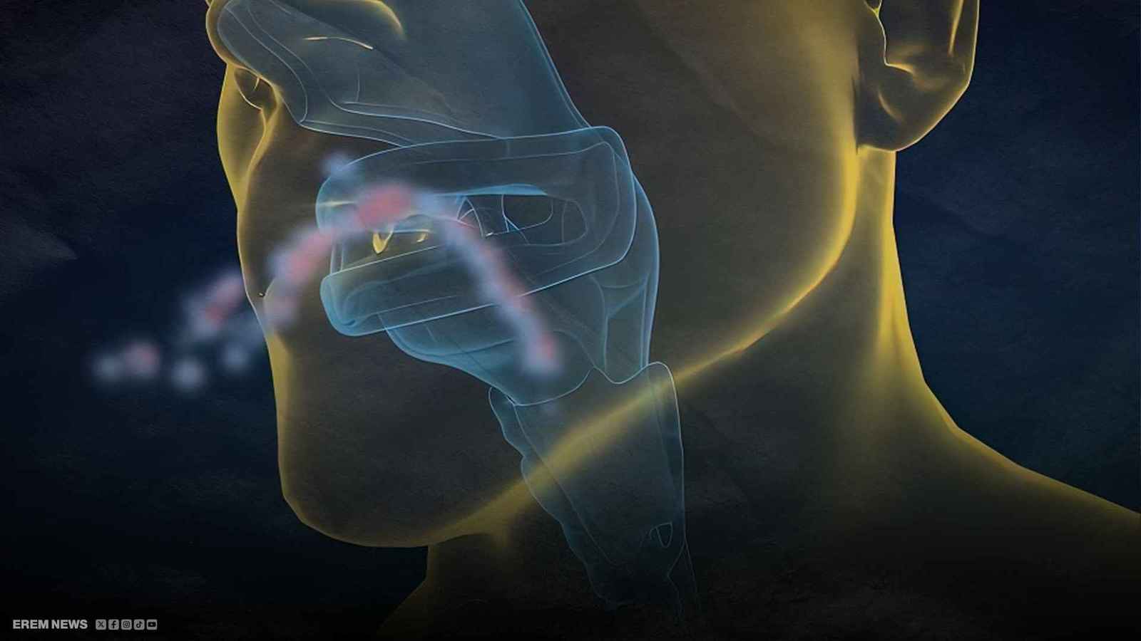 موريتانيا.. عشرات الوفيات بوباء الدفتيريا وحمى الوادي المتصدع