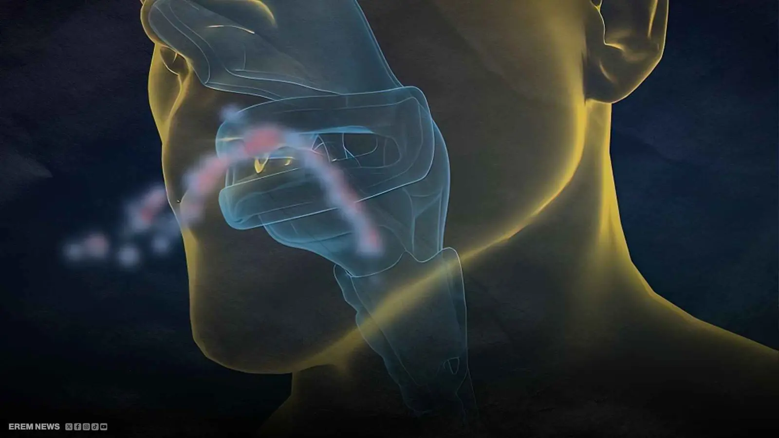 موريتانيا.. عشرات الوفيات بوباء الدفتيريا وحمى الوادي المتصدع