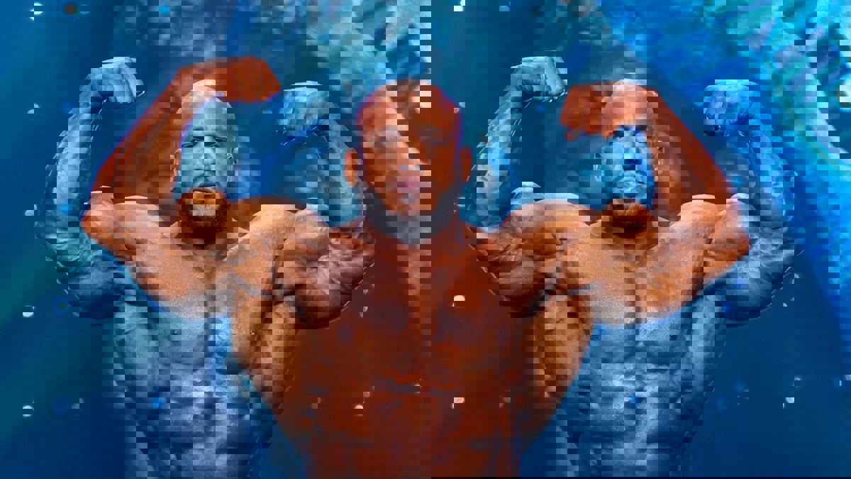 النتائج الكاملة لليوم الأول لمستر أولمبيا.. وبيج رامي يبدأ في هذا التوقيت