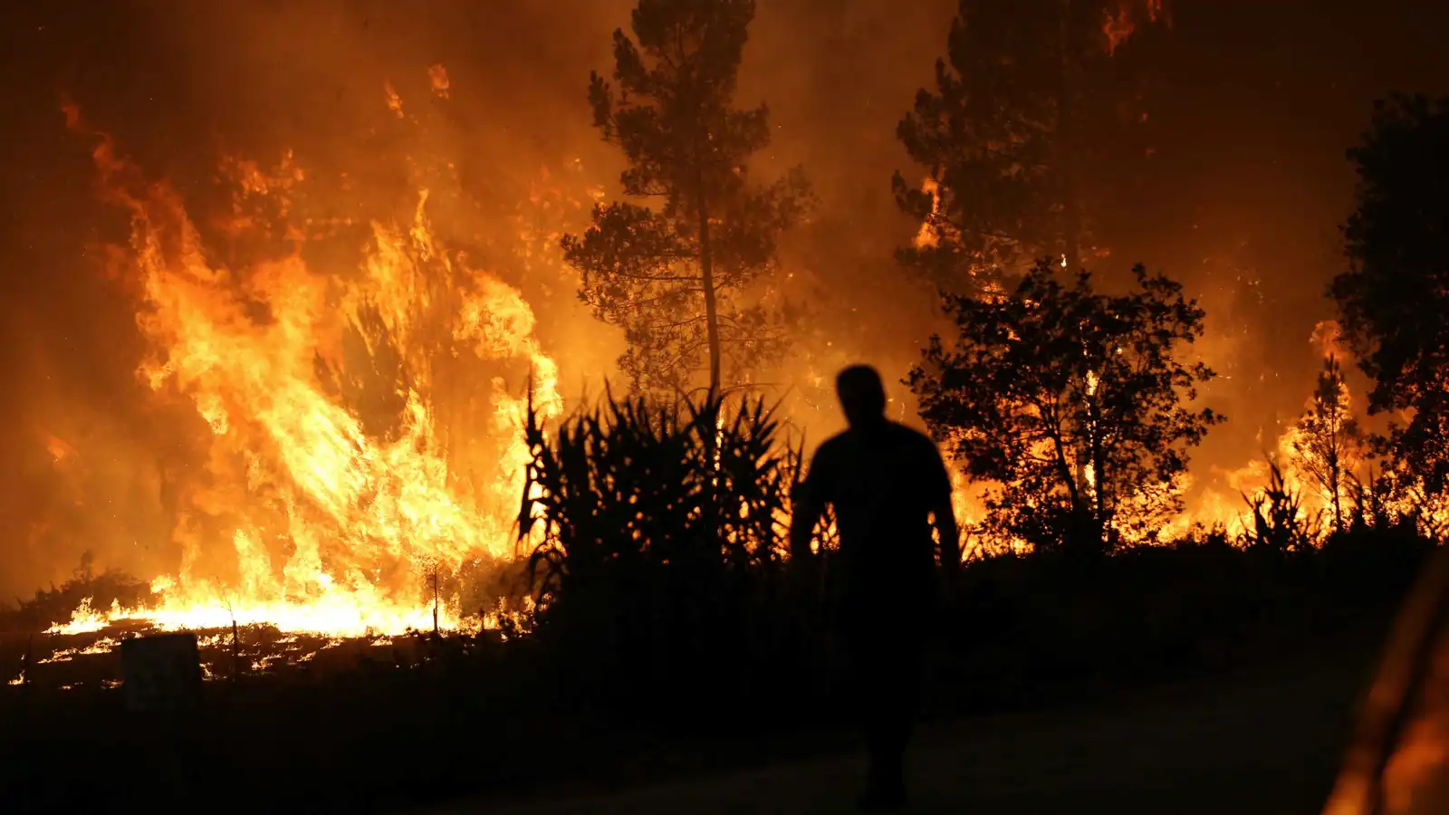 إسبانيا على وشك إنهاء معركتها ضد أسوأ موجة حرائق في التاريخ الحديث