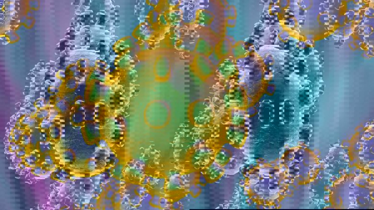 هل توصل العلماء إلى "كعب أخيل" فيروس "كورونا"؟