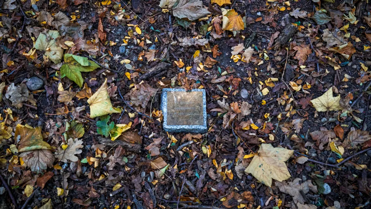 "الغابات المقابر" هل تتفوق على المدافن التقليدية في فرنسا؟