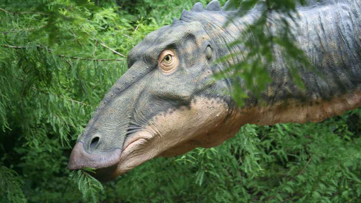 ترند "عصر الديناصورات".. كيف جعل تناول الخضراوات نشاطا ممتعا للأطفال؟