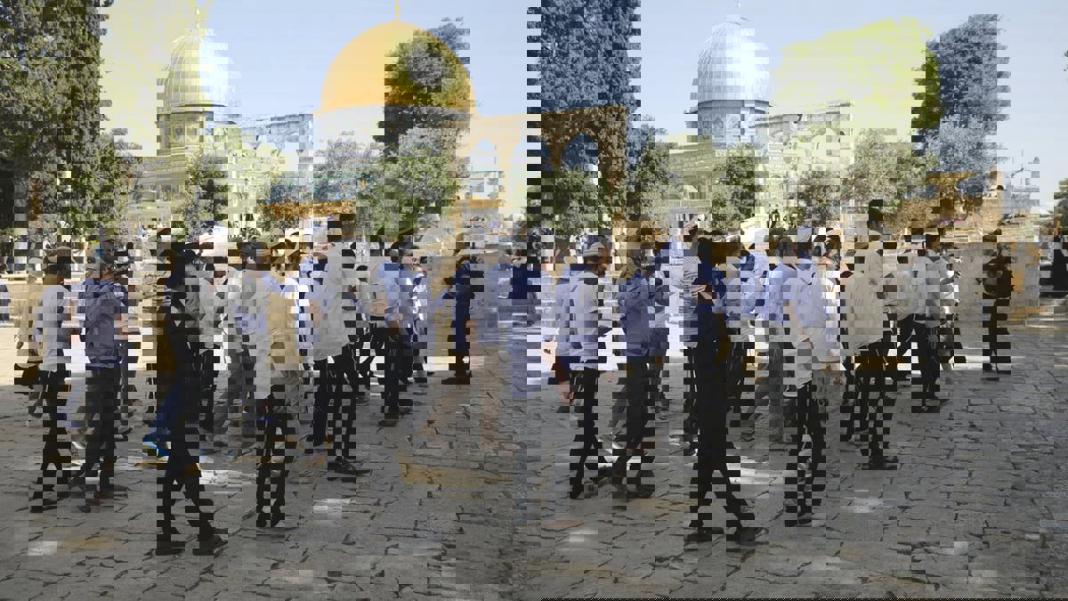 مستوطنون يقتحمون باحات "الأقصى" تزامنا مع التصعيد العسكري بغزة