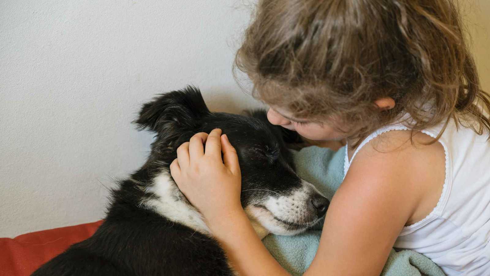 كيف تساعد طفلك على التعامل مع وفاة حيوانه الأليف؟