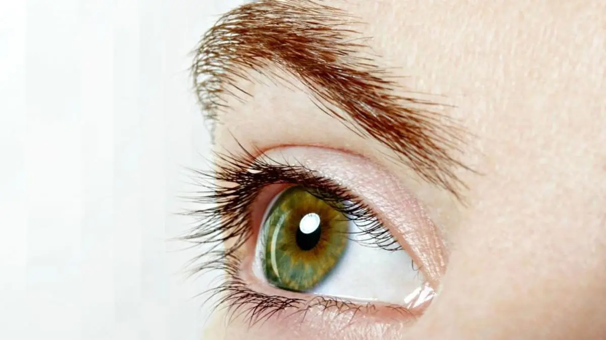 الطريقة المثالية لتحسين صحة العين عبر الرياضة