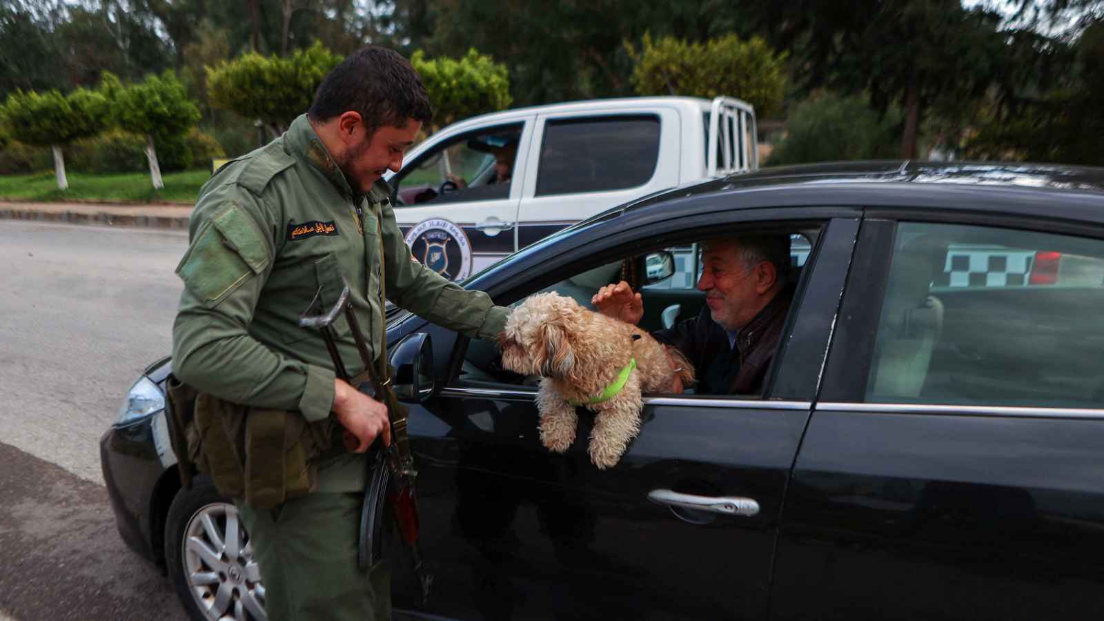 رهاب الحرب يصيب الحيوانات الأليفة في سوريا.. والأطباء يحذرون